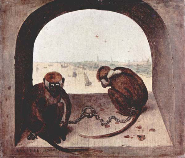two monkies